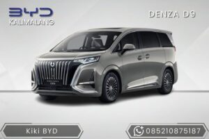 BYD DENZA D9